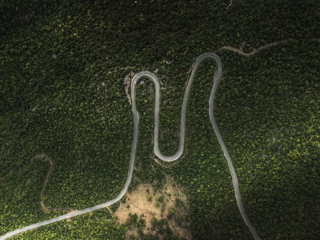 Your Data Analyst Roadmap